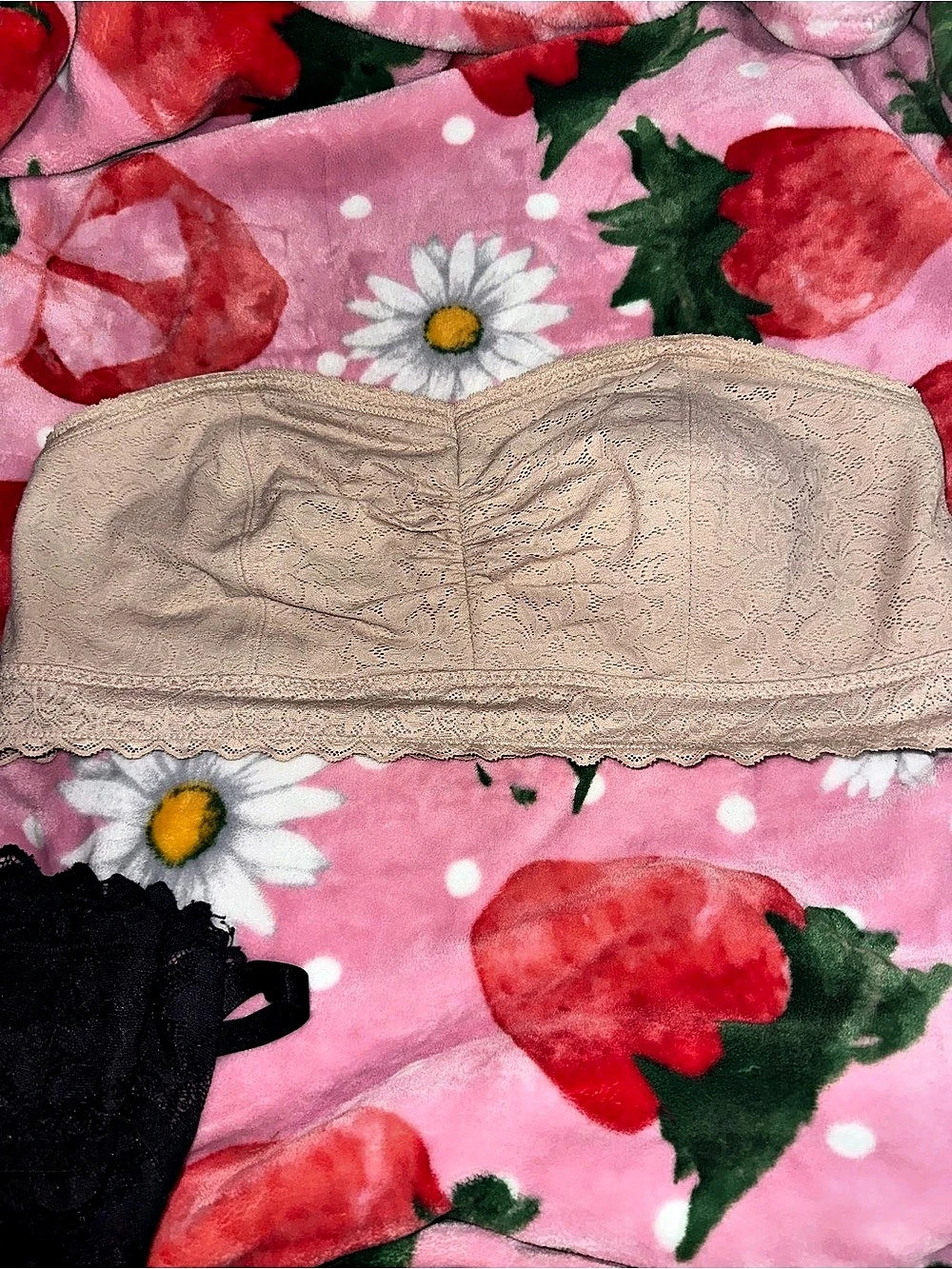 Torrid tan Lace Bandeau Like New